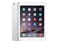 Apple iPad 30530