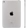 Apple iPad 13633
