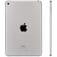 Apple iPad 24360