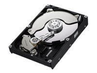 Picture of Samsung SpinPoint F3R Enterprise Class HE103SJ - hard drive - 1 TB - SATA 3Gb/s - Refurbished